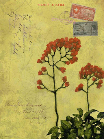 Postage VII Black Ornate Wood Framed Art Print with Double Matting by Novak, Rick