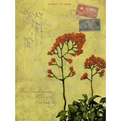 Postage VII White Modern Wood Framed Art Print by Novak, Rick