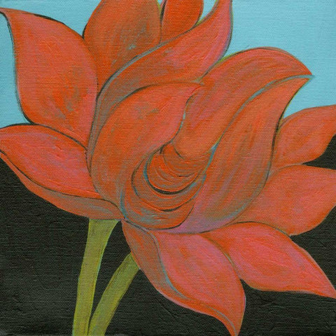 Bliss Lotus I  Black Modern Wood Framed Art Print by Fuchs, Jodi