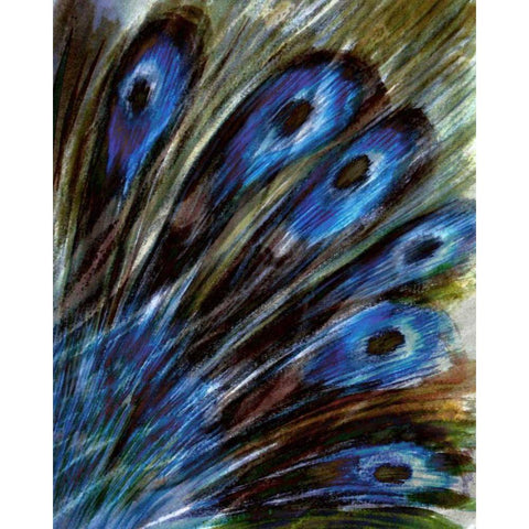 Feather I Black Modern Wood Framed Art Print with Double Matting by Harrington, Danielle