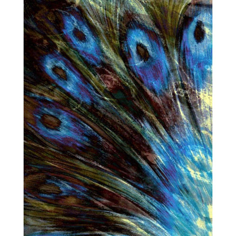 Feather II Black Modern Wood Framed Art Print with Double Matting by Harrington, Danielle