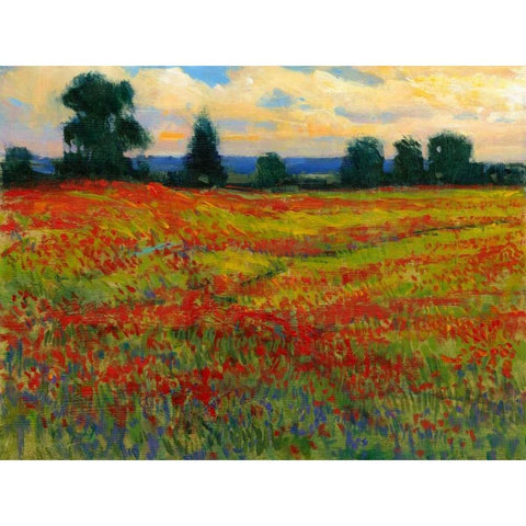 Red Field I Black Modern Wood Framed Art Print with Double Matting by OToole, Tim