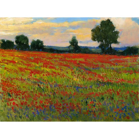 Red Field II White Modern Wood Framed Art Print by OToole, Tim