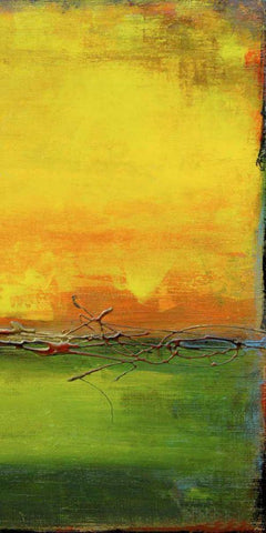 Lime Wire II Black Ornate Wood Framed Art Print with Double Matting by Ashley, Erin