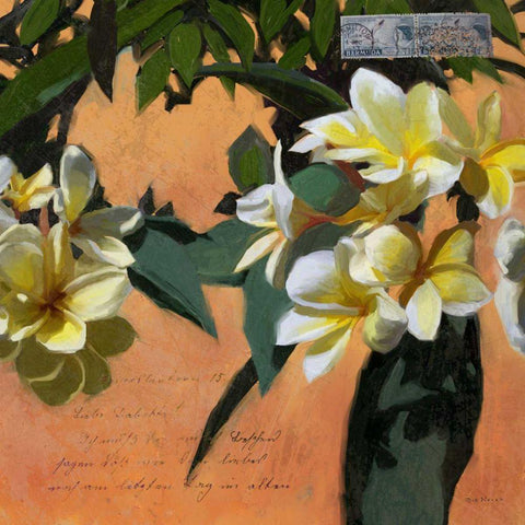 Plumeria and Postage I White Modern Wood Framed Art Print with Double Matting by Novak, Rick