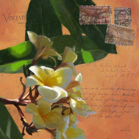 Plumeria and Postage II Black Modern Wood Framed Art Print with Double Matting by Novak, Rick