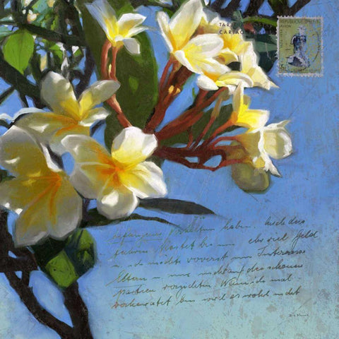 Plumeria and Postage III White Modern Wood Framed Art Print by Novak, Rick