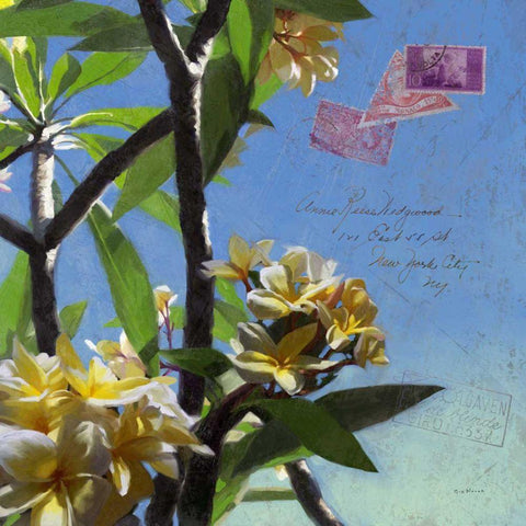 Plumeria and Postage IV Black Modern Wood Framed Art Print by Novak, Rick