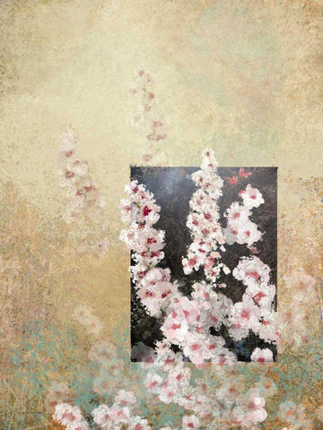Cherry Blossom Abstract III Black Ornate Wood Framed Art Print with Double Matting by Novak, Rick