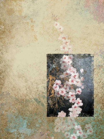 Cherry Blossom Abstract IV White Modern Wood Framed Art Print with Double Matting by Novak, Rick