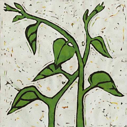 Planta Green V Black Modern Wood Framed Art Print with Double Matting by Davis, Andrea