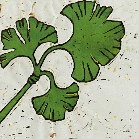 Planta Green VI White Modern Wood Framed Art Print by Davis, Andrea