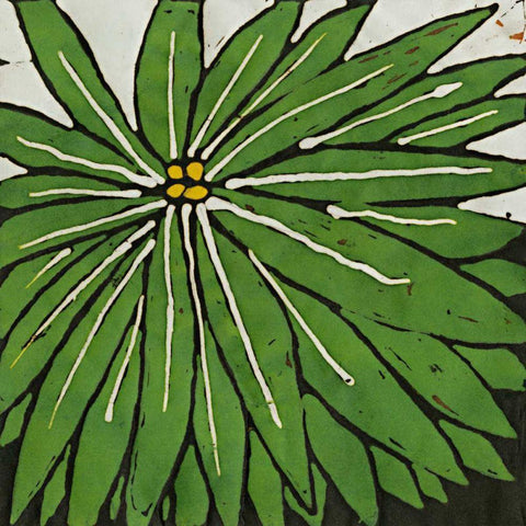 Planta Green VIII Black Modern Wood Framed Art Print by Davis, Andrea