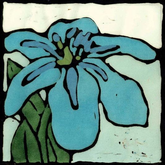 Image Only