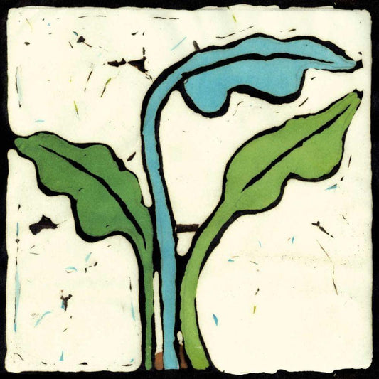 Image Only