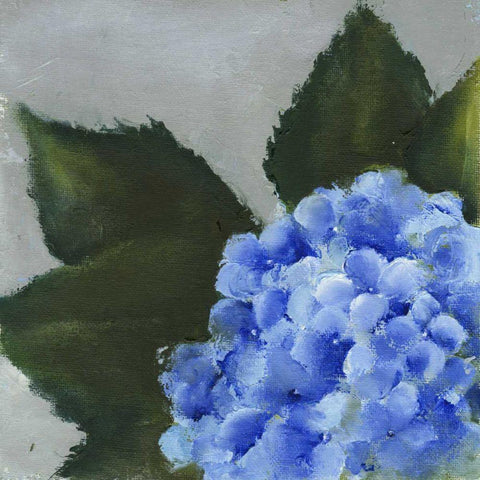 Hydrangea Detail I White Modern Wood Framed Art Print with Double Matting by Nichols, Liz