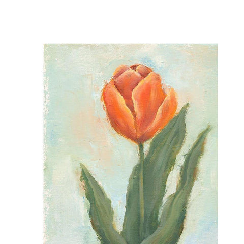Painted Tulips IV Black Modern Wood Framed Art Print with Double Matting by Nichols, Liz