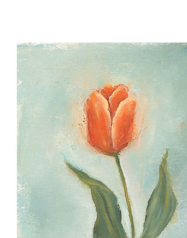 Painted Tulips V White Modern Wood Framed Art Print with Double Matting by Nichols, Liz
