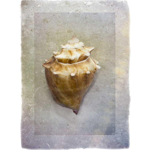 Sheltered I Black Modern Wood Framed Art Print by Hartson-Weddle, Ryan