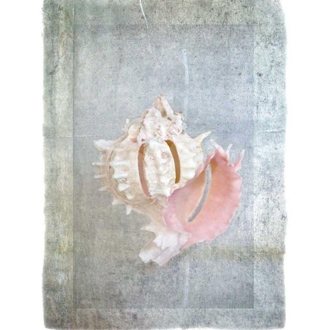 Sheltered II Gold Ornate Wood Framed Art Print with Double Matting by Hartson-Weddle, Ryan