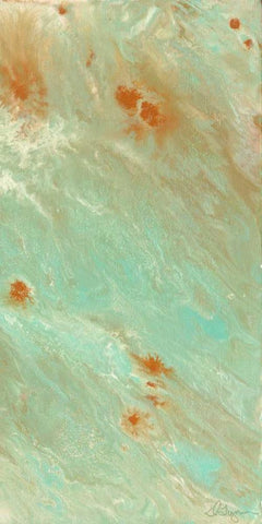 Ozone II Black Ornate Wood Framed Art Print with Double Matting by Roll, Dlynn