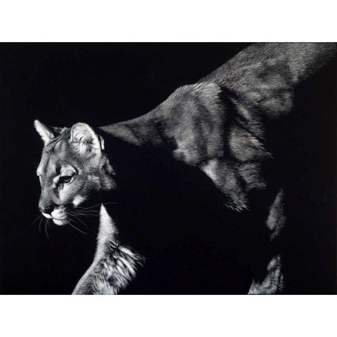 Prowler Black Modern Wood Framed Art Print with Double Matting by Chapman, Julie T.