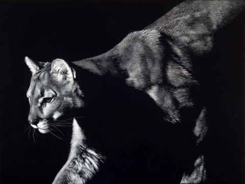 Prowler White Modern Wood Framed Art Print with Double Matting by Chapman, Julie T.