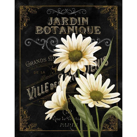 Small Botanical Collection I Black Modern Wood Framed Art Print with Double Matting by White, Abby