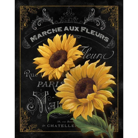 Small Botanical Collection II Gold Ornate Wood Framed Art Print with Double Matting by White, Abby