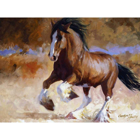 Rumis Run Black Modern Wood Framed Art Print by Hawley, Carolyne