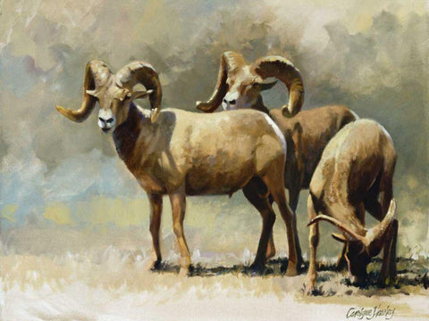 Mountain High White Modern Wood Framed Art Print with Double Matting by Hawley, Carolyne