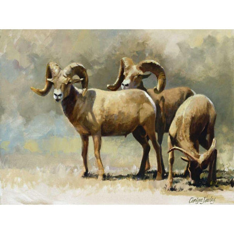 Mountain High Black Modern Wood Framed Art Print by Hawley, Carolyne