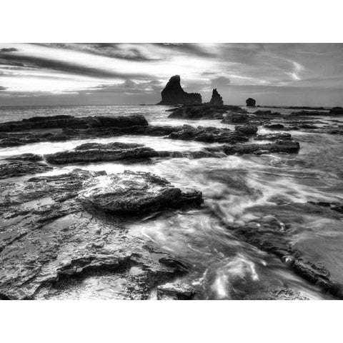 BandW Rushing Tides Gold Ornate Wood Framed Art Print with Double Matting by Nalbandian, Nish