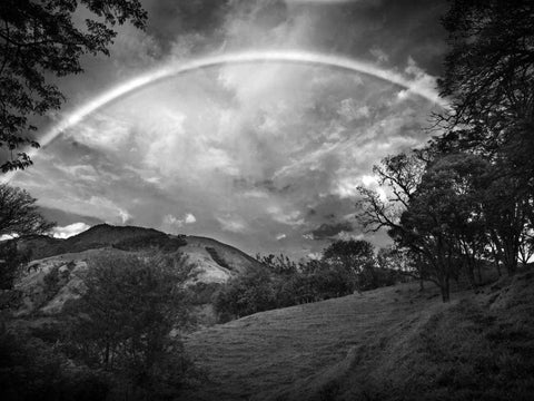 Green Field With Rainbow Black Ornate Wood Framed Art Print with Double Matting by Nalbandian, Nish