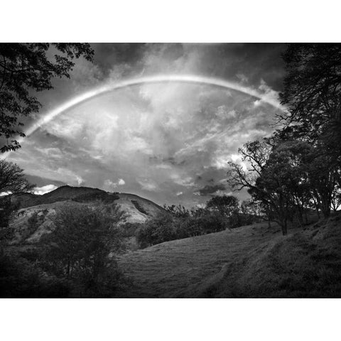 Green Field With Rainbow Gold Ornate Wood Framed Art Print with Double Matting by Nalbandian, Nish