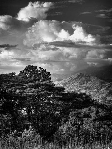 Mountains and Clouds White Modern Wood Framed Art Print with Double Matting by Nalbandian, Nish