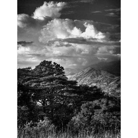 Mountains and Clouds Gold Ornate Wood Framed Art Print with Double Matting by Nalbandian, Nish