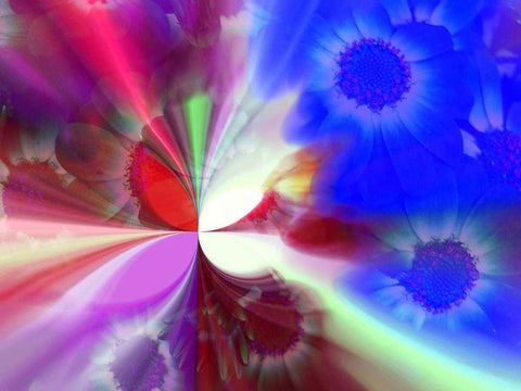 Flying I Black Ornate Wood Framed Art Print with Double Matting by Harrington, Danielle