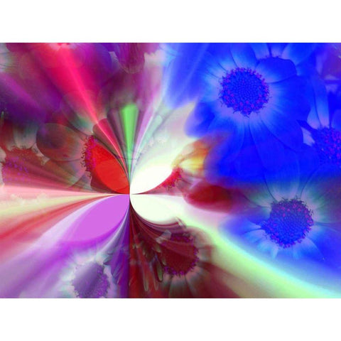 Flying I Black Modern Wood Framed Art Print with Double Matting by Harrington, Danielle