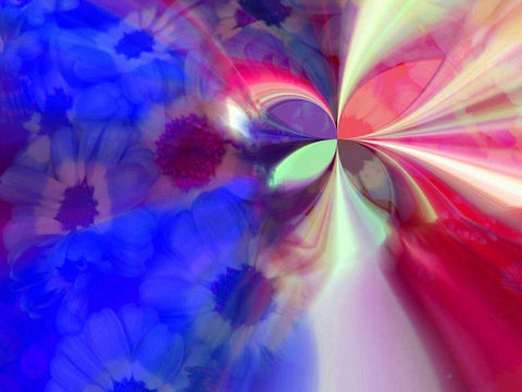 Flying II Black Ornate Wood Framed Art Print with Double Matting by Harrington, Danielle