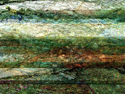 Lines of Nature I Black Ornate Wood Framed Art Print with Double Matting by Harrington, Danielle