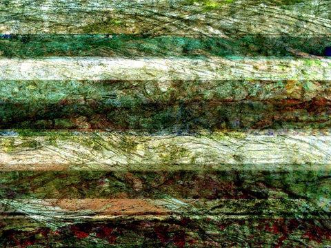 Lines of Nature II White Modern Wood Framed Art Print with Double Matting by Harrington, Danielle