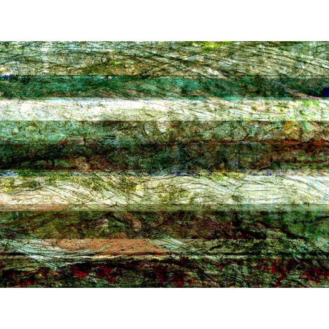 Lines of Nature II Black Modern Wood Framed Art Print by Harrington, Danielle
