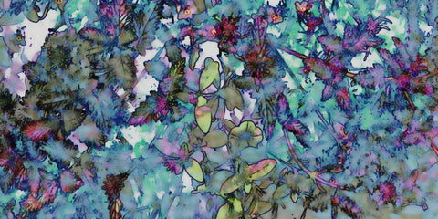 Flower Drop II White Modern Wood Framed Art Print with Double Matting by Harrington, Danielle