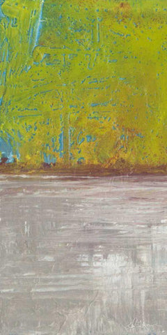 Fire and Ice I Black Ornate Wood Framed Art Print with Double Matting by Roll, Dlynn