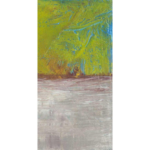 Fire and Ice II Black Modern Wood Framed Art Print by Roll, Dlynn