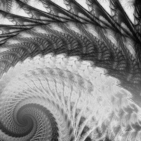 Helix I Black Ornate Wood Framed Art Print with Double Matting by Burghardt, James