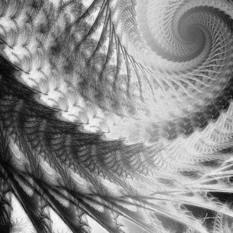 Helix II Black Ornate Wood Framed Art Print with Double Matting by Burghardt, James