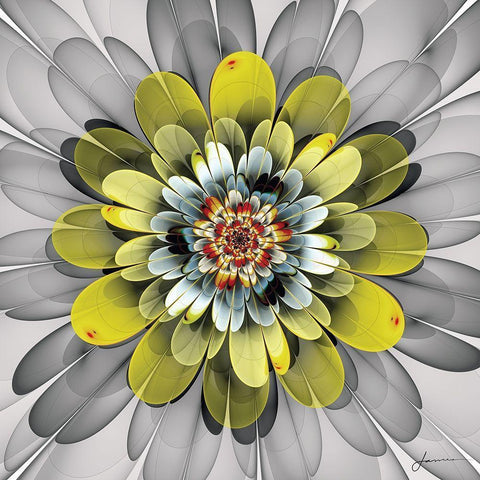 Fractal Blooms IV Black Modern Wood Framed Art Print by Burghardt, James