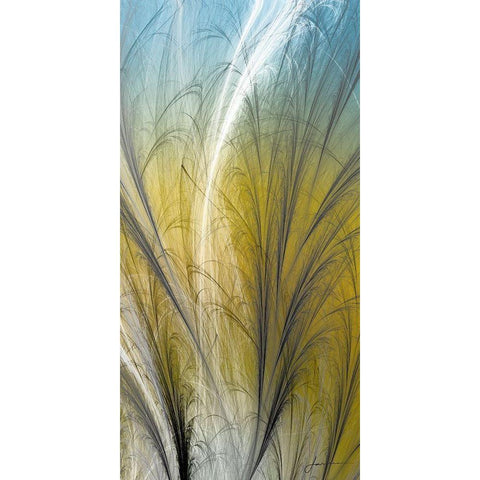 Fountain Grass III Black Modern Wood Framed Art Print with Double Matting by Burghardt, James
